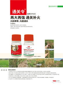 2020年 讓稀缺產(chǎn)品資源走進(jìn)千家萬戶